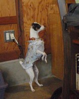 119