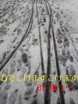 998f93dd.jpg