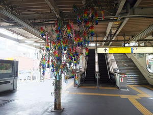 tanabata