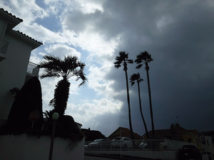STORM
