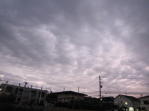20111003午後5時半