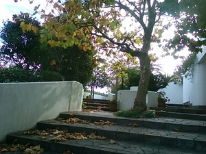 KIMG0010