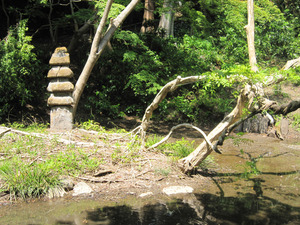 妙本寺2