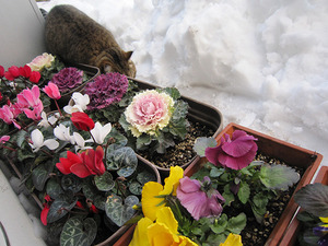 20140209_6