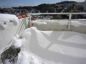 20140209_4