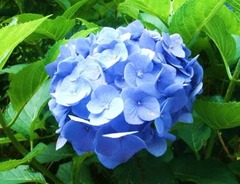 5054A2E0-1F4D-4862-9385-B0D3012DB8C0