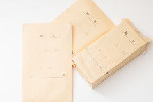TSURU17623A006_TP_Vs