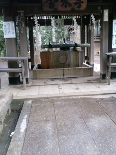 19952874.jpg