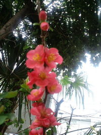 CA3C0157