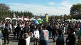 SANY0267_small