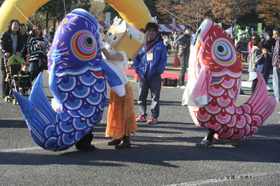 _MG_0406-1