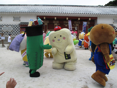 ibaraki_20110625_52