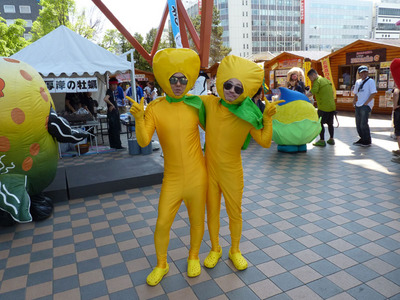 P1050032_ツブキビタイマツマン