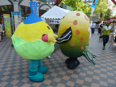 P1050015_出汁之介が励ます