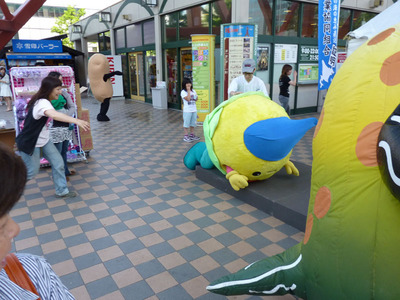 P1050010_キャベッチくん転ぶ