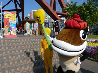 P1050408_たら丸_ツブキビ3