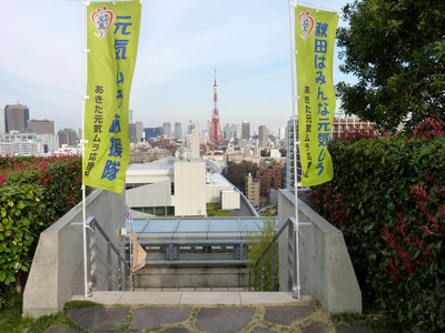 P1030832_たんぽ小町_東京タワー