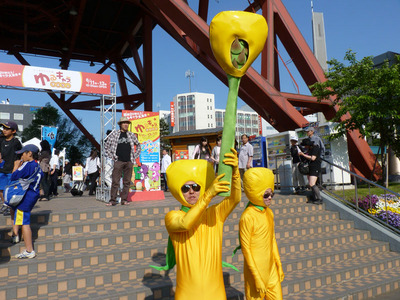 P1050412_たら丸_ツブキビ4