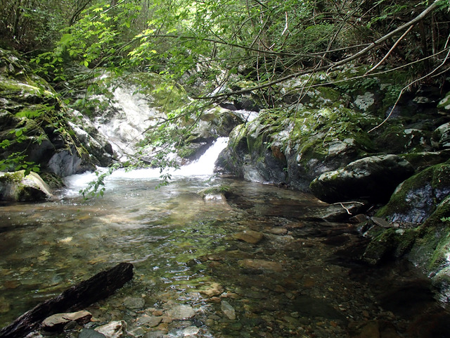 P7020030