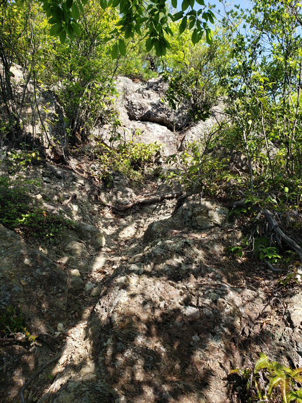 20190505_083554