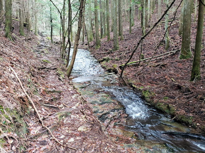 20190207_094501