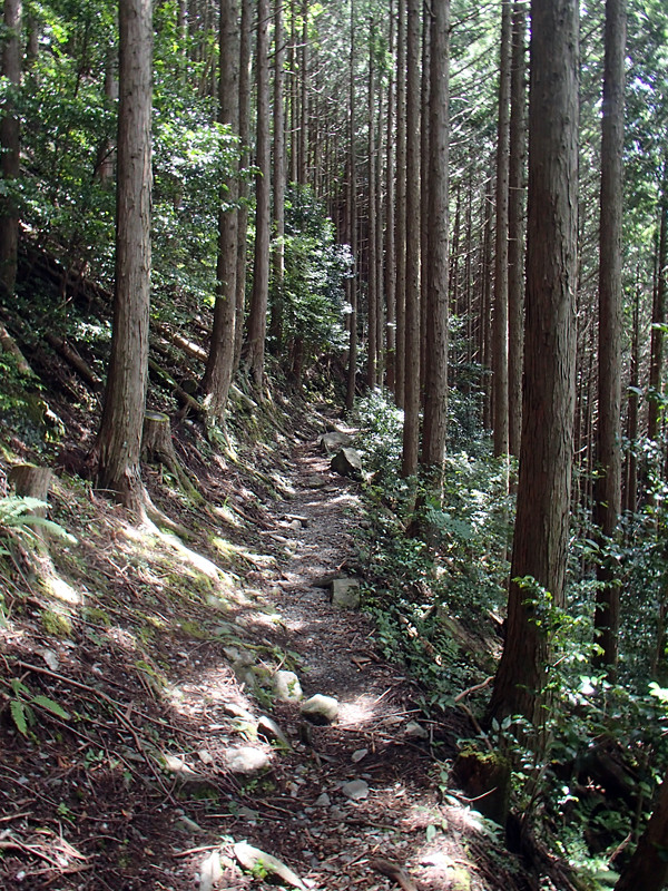 P7020008