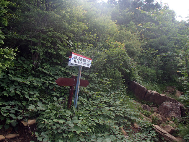 P7030053