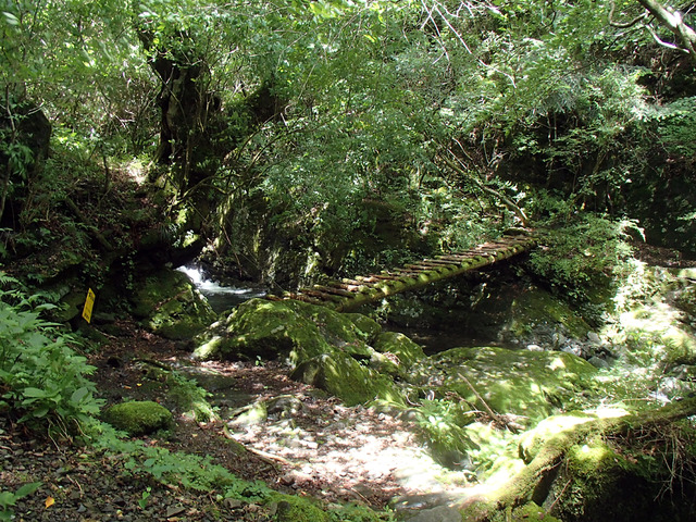 P7020018