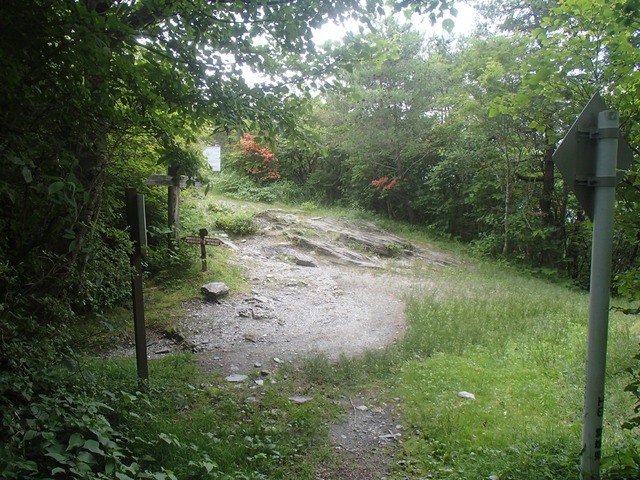 P7030113