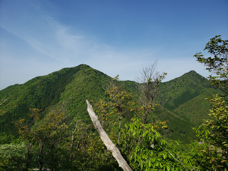 20190505_081344