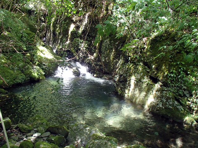 P7020019