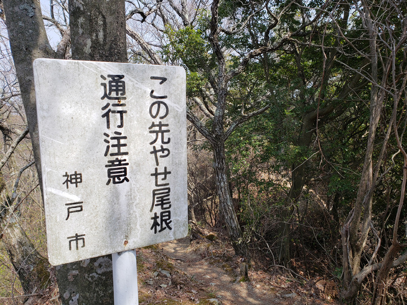 20190407_112856