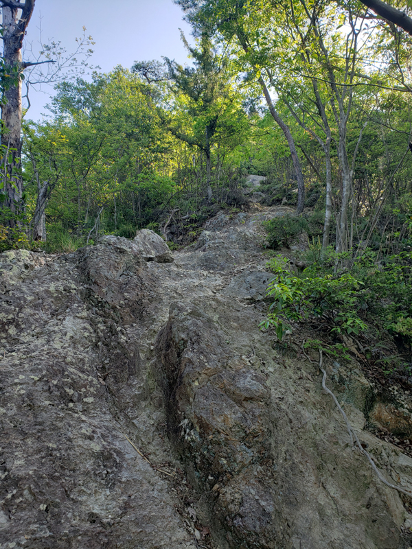 20190505_080831