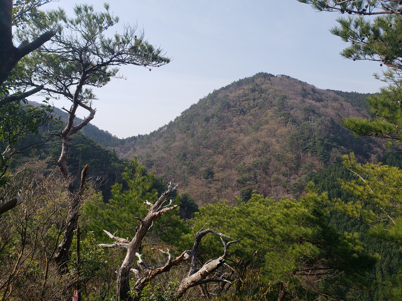 20190407_090521