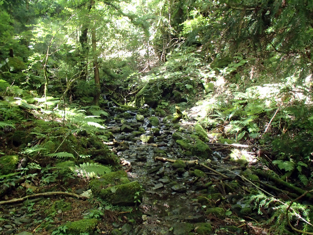 P7020014