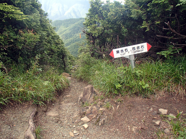 P7030054
