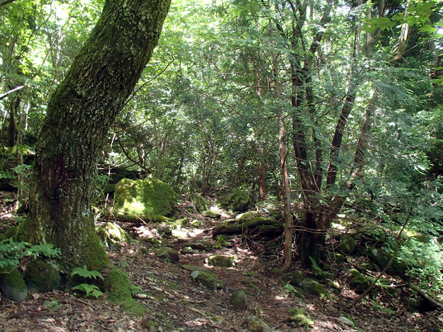 P7020013