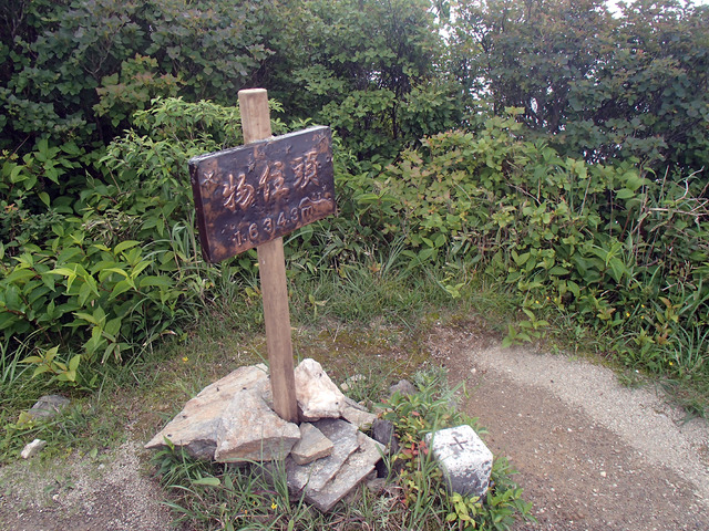 P7030095
