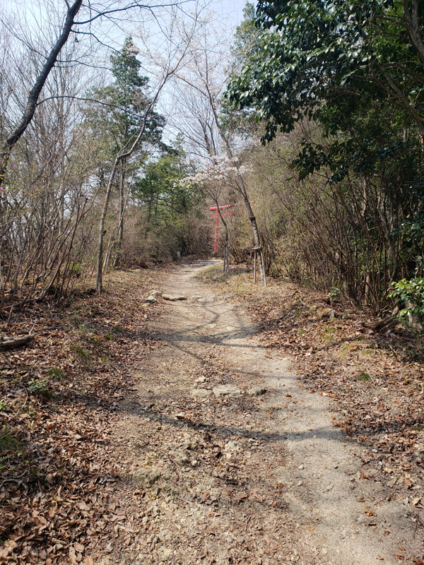 20190407_131730