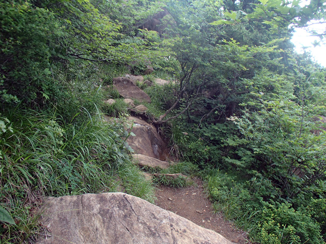P7030052