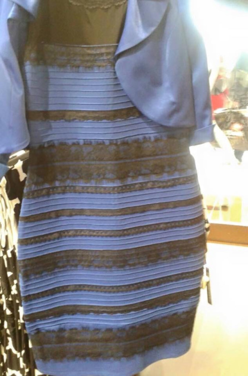 このドレスの色「白と金」に見える？「青と黒」に見える？に関連した画像-02