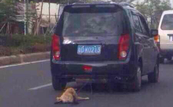 中国、犬を車で引きずる画像が出回りネット大炎上に関連した画像-01