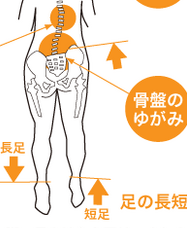 E784A1E9A18C36-thumbnail2 (2)