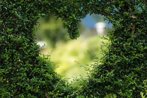 heart-1192662__340