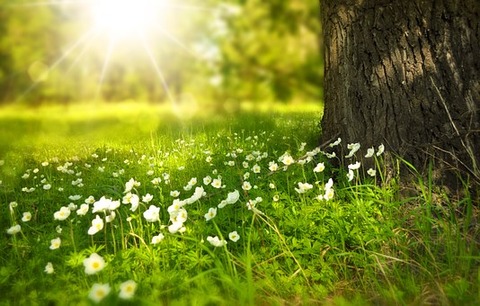 spring-276014__340