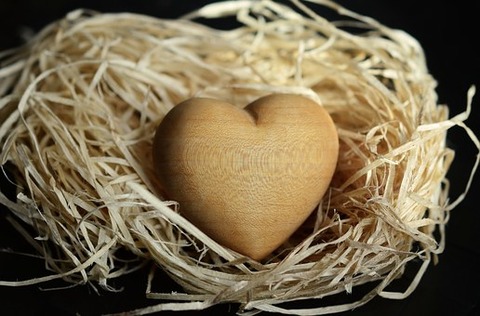 wood-wool-1186917__340