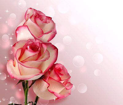 flower-3333511__340