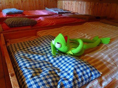 frog-51868__340