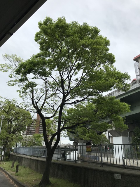 28CDC3FE-0514-4377-8A4F-4C3FD6578B52