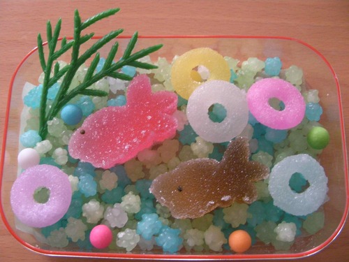 金魚菓子正対